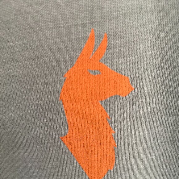 NEW Cotopaxi Happy Day Organic T-Shirt - Women's M NWT Silver Leaf Green - Picture 9 of 10